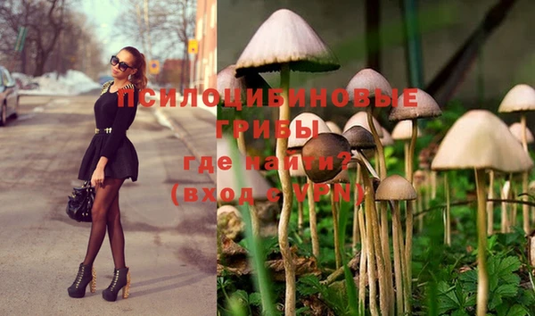 марки lsd Тавда