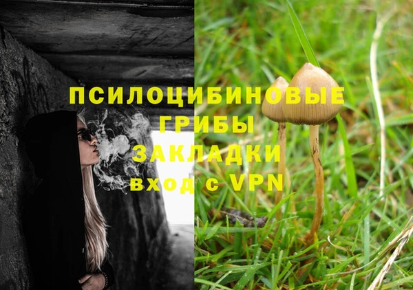 тгк Аркадак