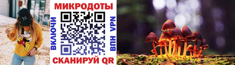 Псилоцибиновые грибы Cubensis  где купить наркоту  мега ONION  Отрадная 