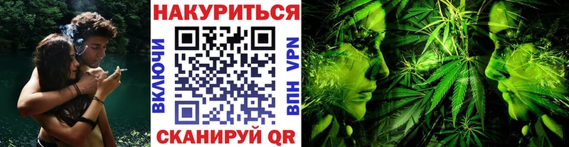 Бошки марихуана гибрид  наркотики  Отрадная 